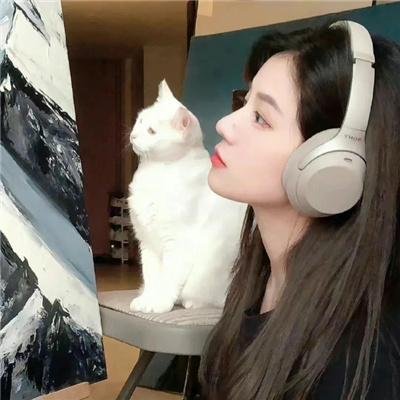 妙先生之火泽睽笑人传